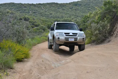 DSC_6853 (Large).JPG